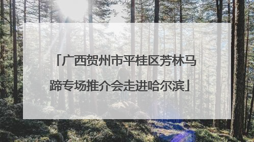 广西贺州市平桂区芳林马蹄专场推介会走进哈尔滨