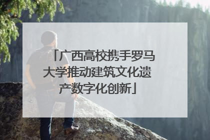 广西高校携手罗马大学推动建筑文化遗产数字化创新