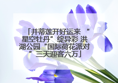 并蒂莲开好运来 “星空牡丹”绽异彩 洪湖公园“国际荷花派对”三天迎客六万