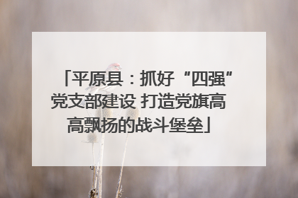 平原县：抓好“四强”党支部建设 打造党旗高高飘扬的战斗堡垒