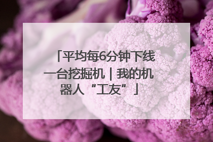 平均每6分钟下线一台挖掘机｜我的机器人“工友”