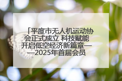 平度市无人机运动协会正式成立 科技赋能开启低空经济新篇章——2025年首届会员大会暨无人机应用发展论坛成功举办