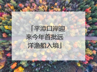 平潭口岸迎来今年首批远洋渔船入境