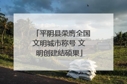 平阴县荣膺全国文明城市称号 文明创建结硕果