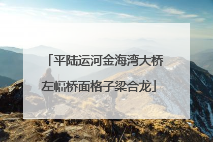 平陆运河金海湾大桥左幅桥面格子梁合龙