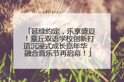 延续约定，乐享盛夏！章丘双语学校创新打造沉浸式成长嘉年华，融合音乐节再启幕！