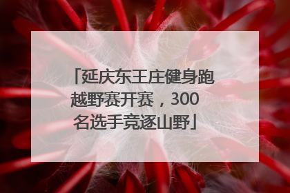 延庆东王庄健身跑越野赛开赛，300名选手竞逐山野