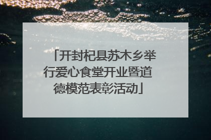 开封杞县苏木乡举行爱心食堂开业暨道德模范表彰活动