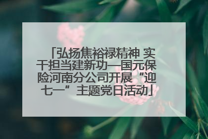 弘扬焦裕禄精神 实干担当建新功—国元保险河南分公司开展“迎七一”主题党日活动