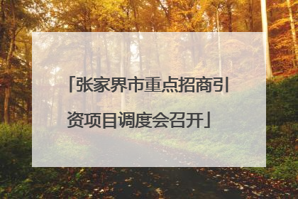 张家界市重点招商引资项目调度会召开