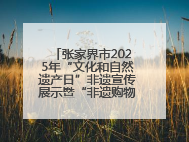 张家界市2025年“文化和自然遗产日”非遗宣传展示暨“非遗购物节”活动在慈利县盛大启幕