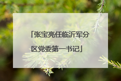 张宝亮任临沂军分区党委第一书记