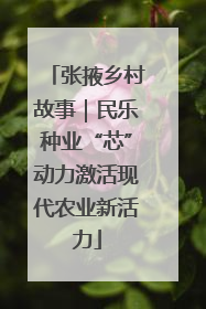 张掖乡村故事｜民乐种业“芯”动力激活现代农业新活力