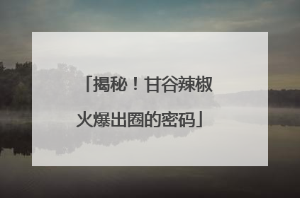 揭秘！甘谷辣椒火爆出圈的密码