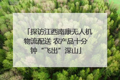 探访江西南康无人机物流配送 农产品十分钟“飞出”深山