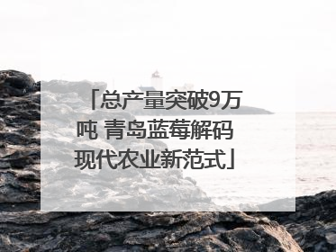 总产量突破9万吨 青岛蓝莓解码现代农业新范式