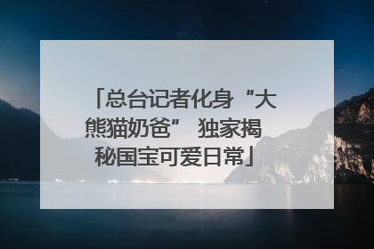 总台记者化身“大熊猫奶爸” 独家揭秘国宝可爱日常