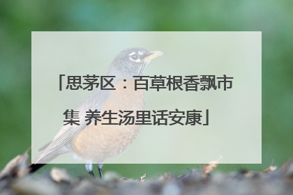 思茅区：百草根香飘市集 养生汤里话安康