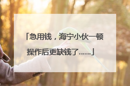 急用钱，海宁小伙一顿操作后更缺钱了……