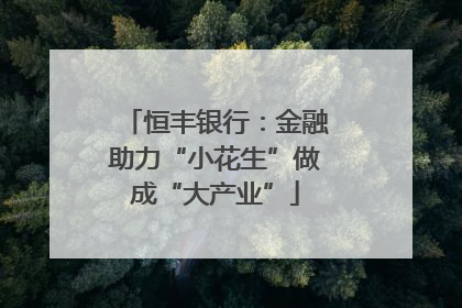 恒丰银行：金融助力“小花生”做成“大产业”