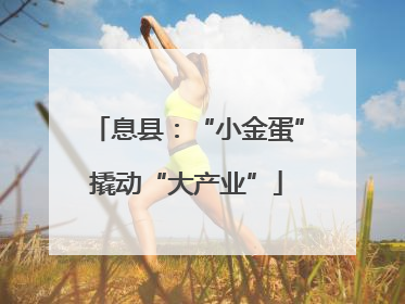 息县：“小金蛋”撬动“大产业”