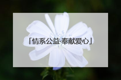 情系公益·奉献爱心