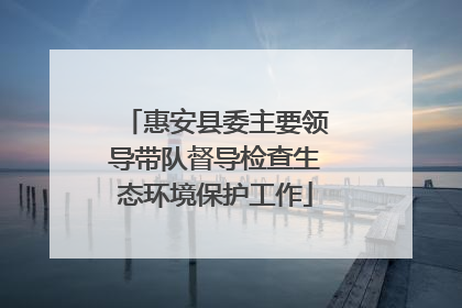 惠安县委主要领导带队督导检查生态环境保护工作