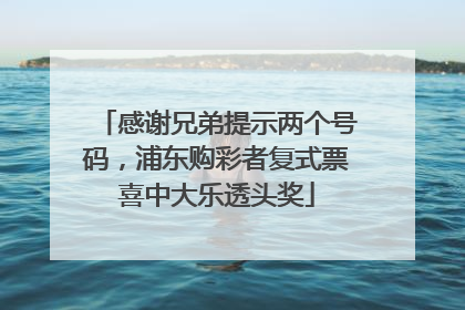 感谢兄弟提示两个号码，浦东购彩者复式票喜中大乐透头奖