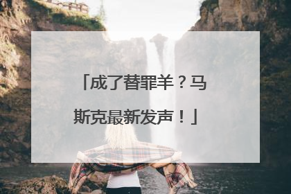 成了替罪羊？马斯克最新发声！