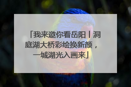 我来邀你看岳阳丨洞庭湖大桥彩绘换新颜，一城湖光入画来