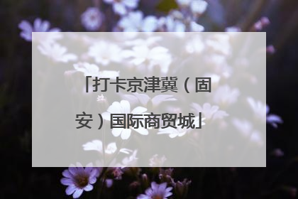 打卡京津冀（固安）国际商贸城