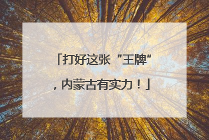 打好这张“王牌”，内蒙古有实力！