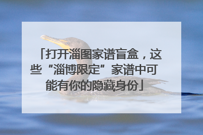 打开淄图家谱盲盒，这些“淄博限定”家谱中可能有你的隐藏身份