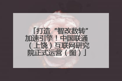 打造“智改数转”加速引擎！中国联通（上饶）互联网研究院正式运营（图）