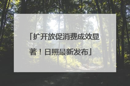 扩开放促消费成效显著！日照最新发布