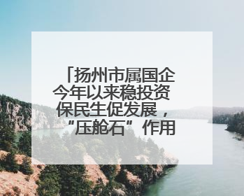 扬州市属国企今年以来稳投资保民生促发展，“压舱石”作用凸显