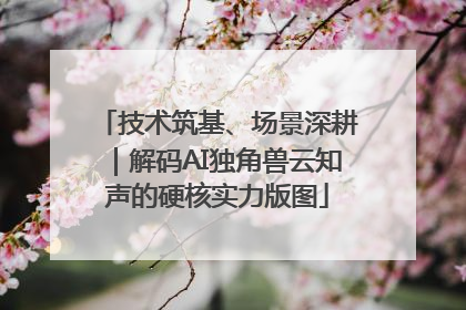 技术筑基、场景深耕｜解码AI独角兽云知声的硬核实力版图