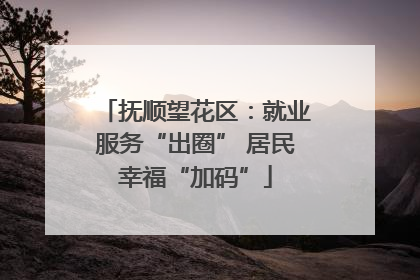 抚顺望花区：就业服务“出圈” 居民幸福“加码”