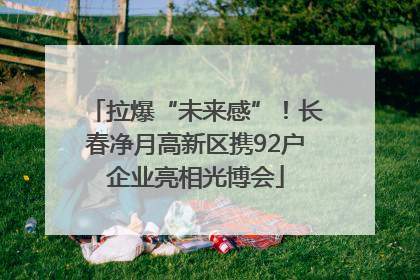 拉爆“未来感”！长春净月高新区携92户企业亮相光博会