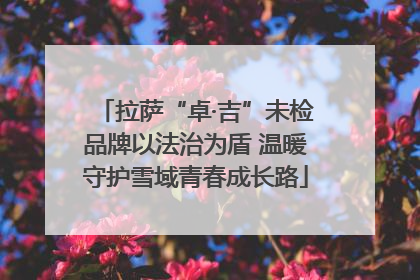 拉萨“卓·吉”未检品牌以法治为盾 温暖守护雪域青春成长路