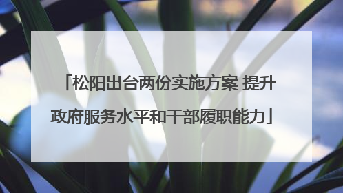 松阳出台两份实施方案 提升政府服务水平和干部履职能力