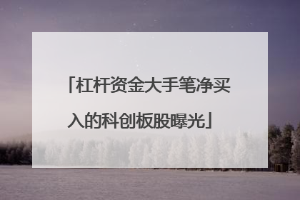 杠杆资金大手笔净买入的科创板股曝光