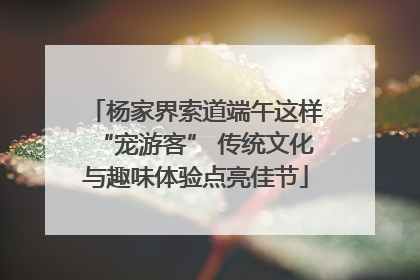 杨家界索道端午这样“宠游客” 传统文化与趣味体验点亮佳节