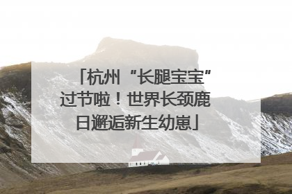 杭州“长腿宝宝”过节啦！世界长颈鹿日邂逅新生幼崽