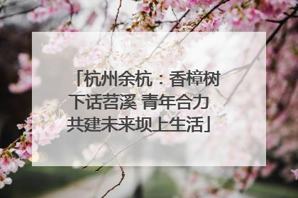 杭州余杭：香樟树下话苕溪 青年合力共建未来坝上生活