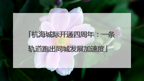 杭海城际开通四周年：一条轨道跑出同城发展加速度