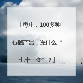 枣庄：100多种石榴产品，靠什么“七十二变”？