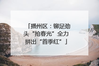 播州区：铆足劲头“抢春光”全力拼出“首季红”