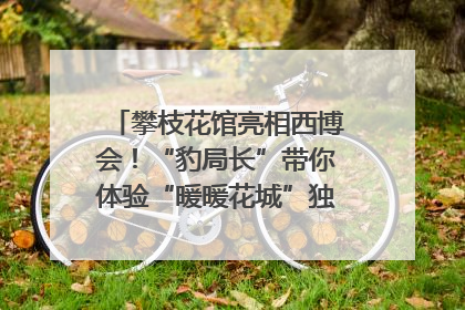攀枝花馆亮相西博会！“豹局长”带你体验“暖暖花城”独特魅力｜西博视界