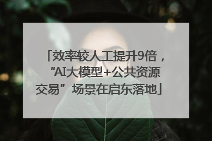 效率较人工提升9倍，“AI大模型+公共资源交易”场景在启东落地